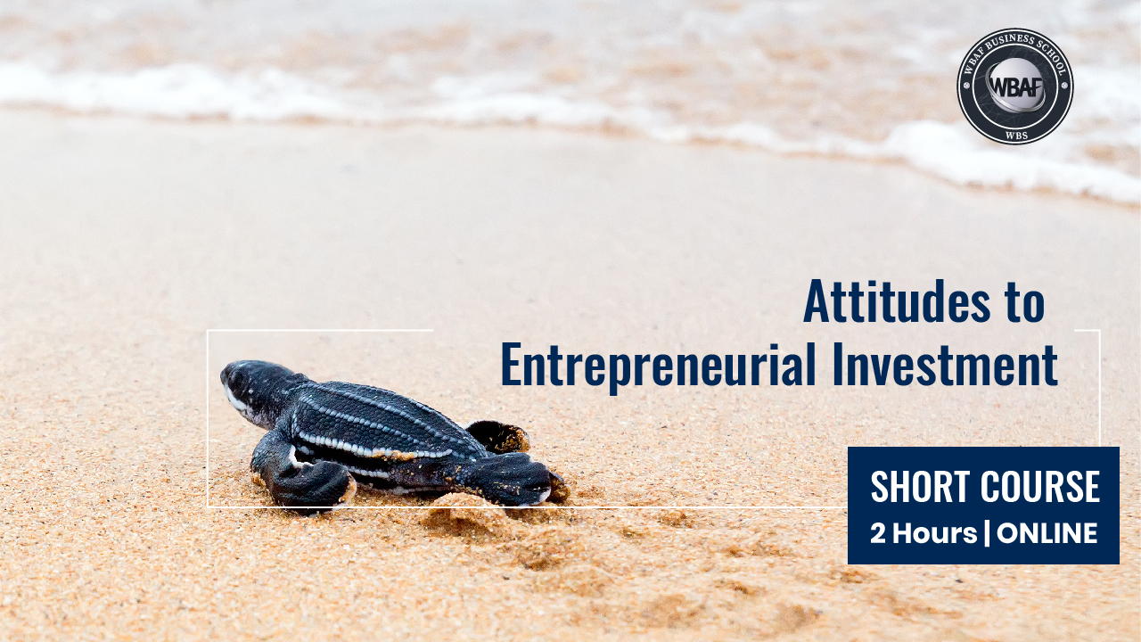 Approaches to Entrepreneurial Investment Course