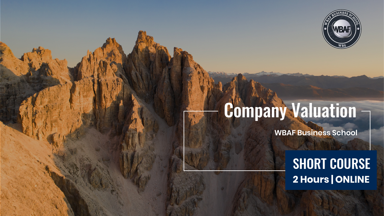 Company Valuation Course