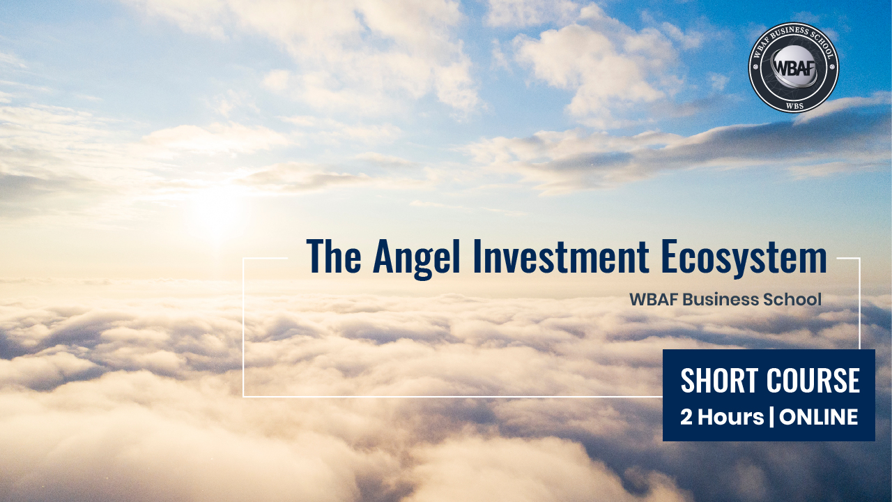 Angel Investment Ecosystem Course