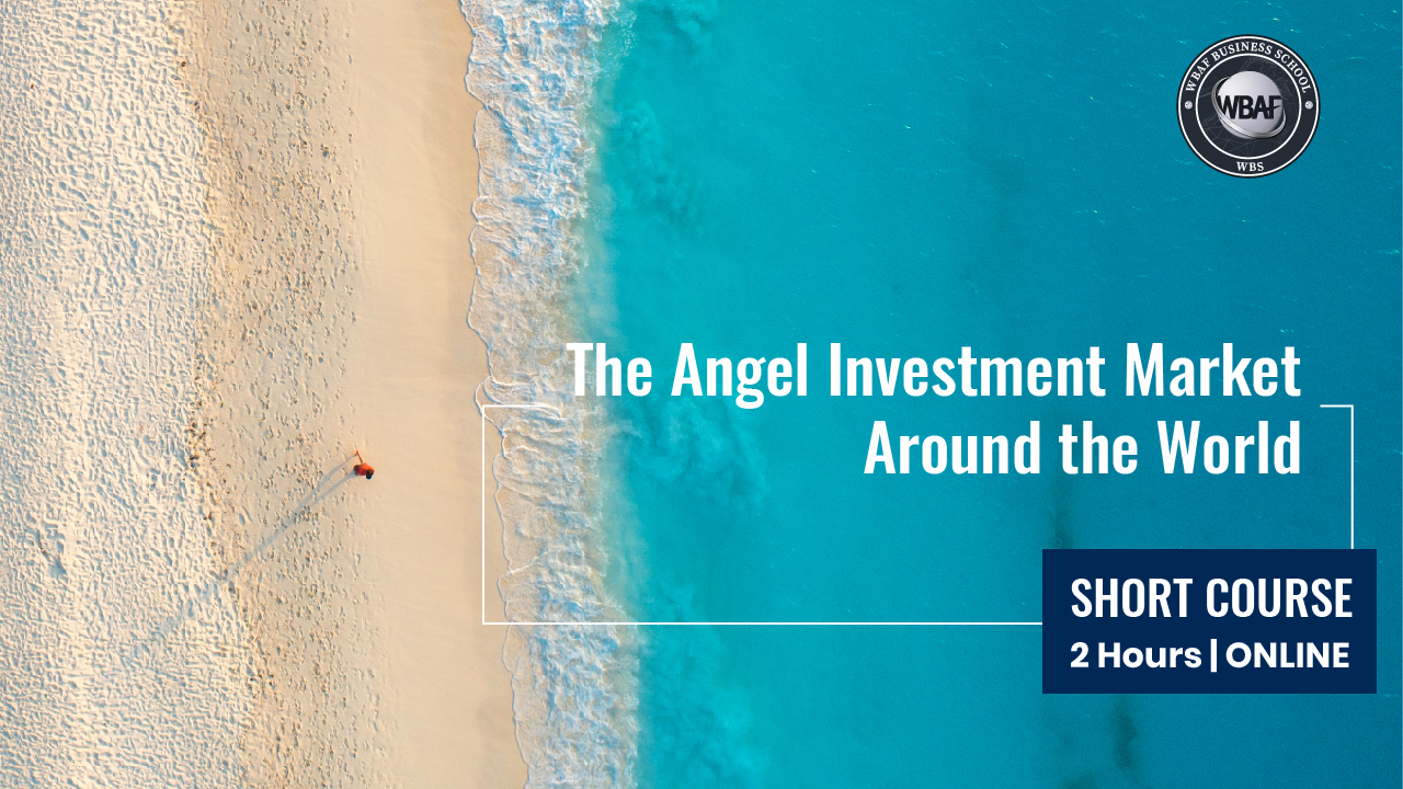 Angel Investment Market Around the World Course