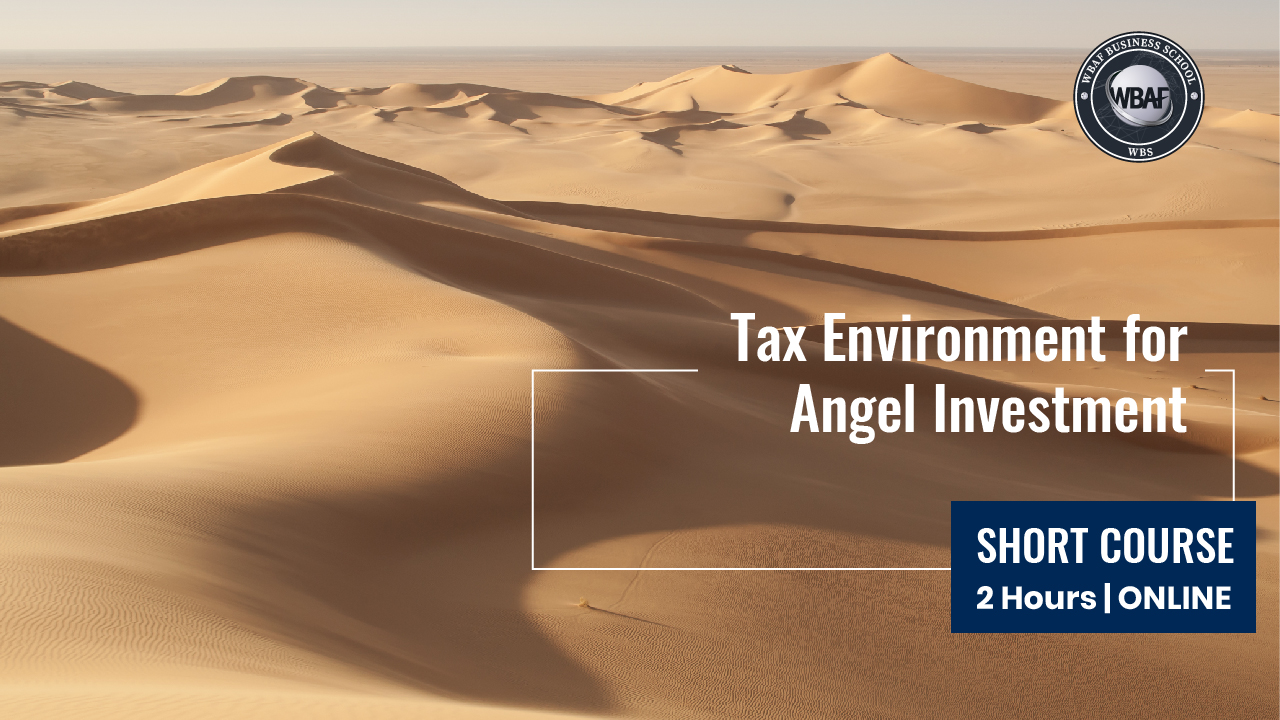 Tax Environment for Angel Investment Course